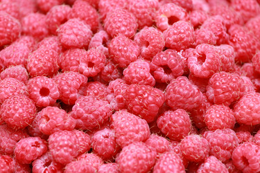 Similar image 2940988