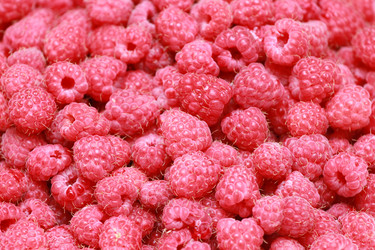 Similar image 2941005