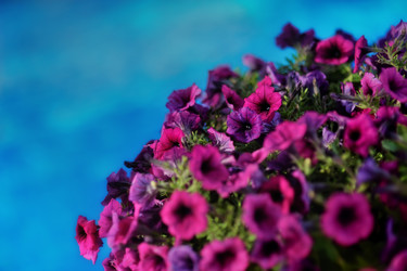 Similar image 2941176