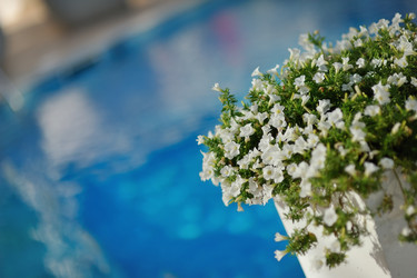 Similar image 2941177