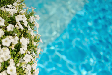 Similar image 2941259