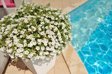 Similar image 2941273