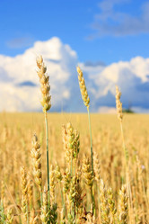 Similar image 2941638