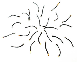 Similar image 2941660