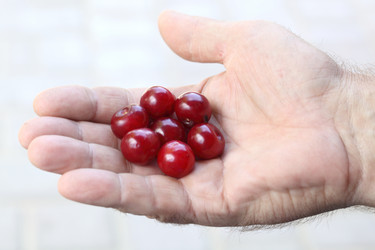 Similar image 2941700