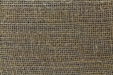 Similar image 2941739