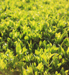 Similar image 2941743