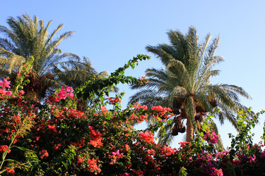 Similar image 2941744