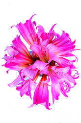 Similar image 2942239