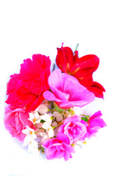 Similar image 2942240