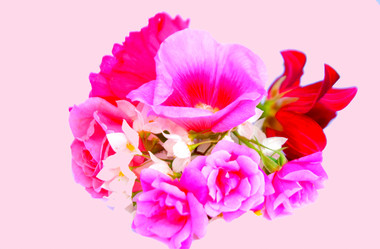 Similar image 2942241