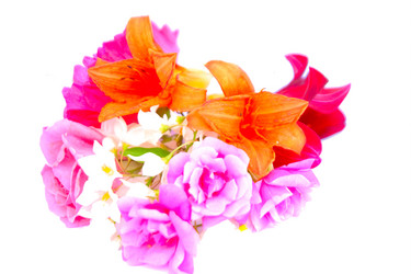 Similar image 2942242