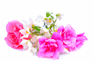 Similar image 2942243