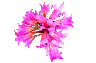 Similar image 2942244