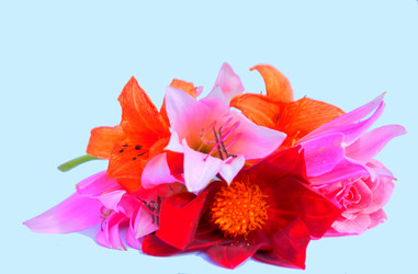 Similar image 2942246