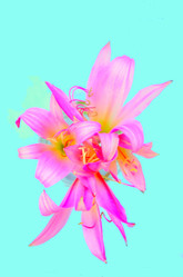 Similar image 2942247