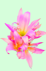 Similar image 2942250