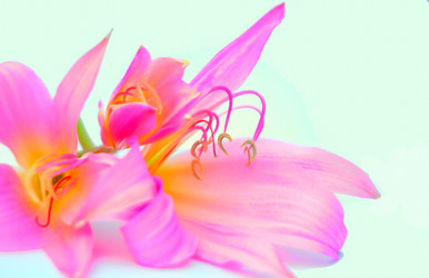 Similar image 2942251