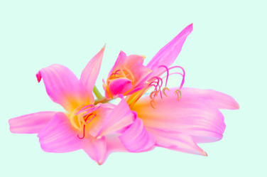 Similar image 2942252