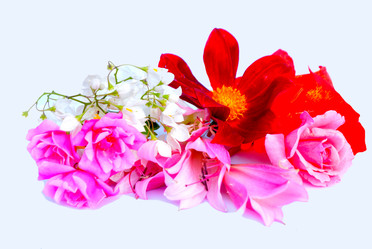 Similar image 2942254