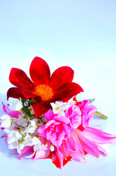 Similar image 2942255