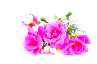 Similar image 2942256