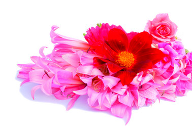 Similar image 2942257