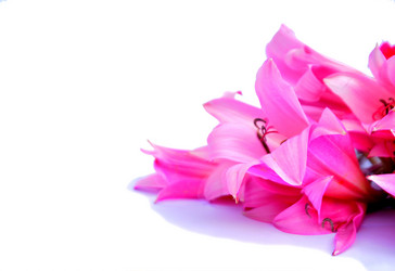 Similar image 2942258