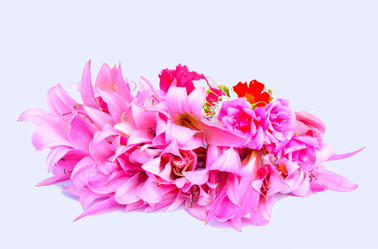 Similar image 2942259