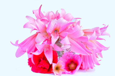 Similar image 2942260