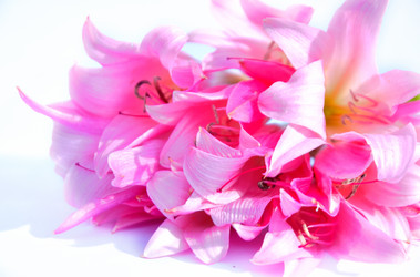 Similar image 2942262