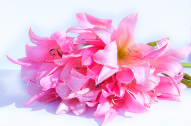 Similar image 2942263