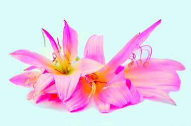 Similar image 2942264