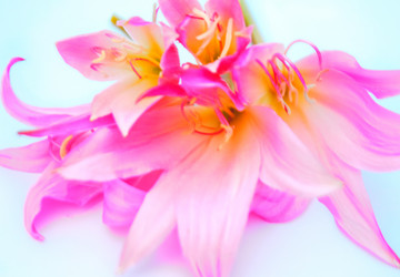 Similar image 2942266