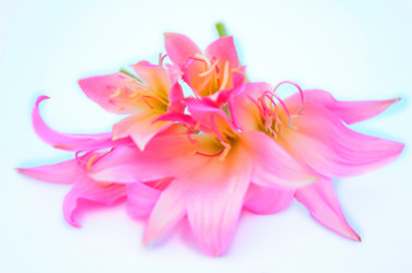 Similar image 2942267