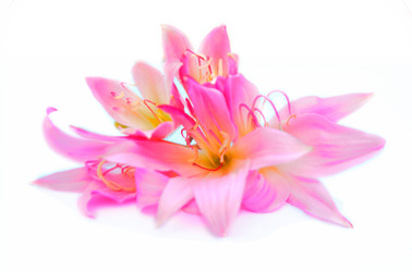 Similar image 2942268