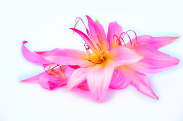 Similar image 2942269