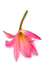 Similar image 2942273