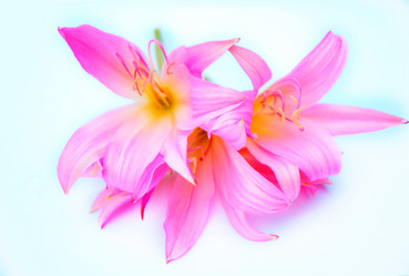 Similar image 2942274