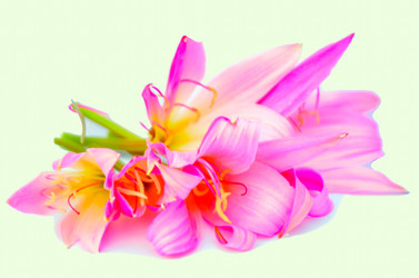 Similar image 2942276