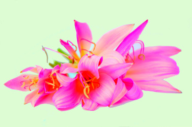 Similar image 2942277