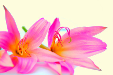 Similar image 2942278