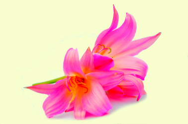 Similar image 2942279