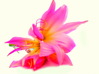 Similar image 2942281