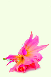 Similar image 2942282