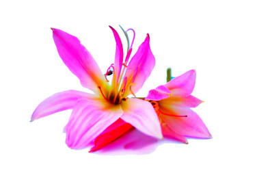 Similar image 2942283