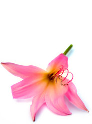 Similar image 2942284