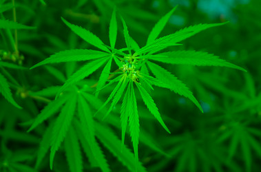 Similar image 2942285