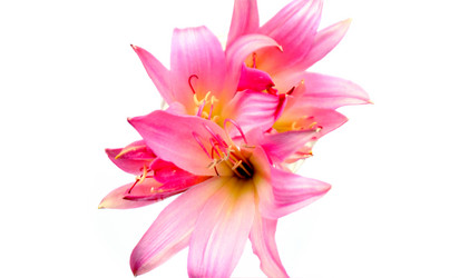 Similar image 2942286