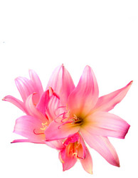 Similar image 2942287